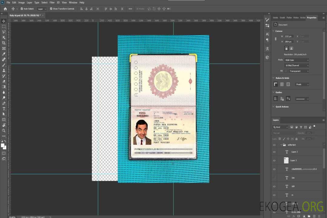 Look photo du passeport de Papouasie-Nouvelle-Guinée template